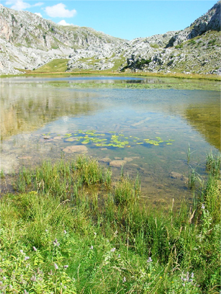 National Park Sutjeska 2