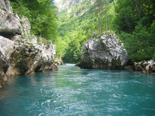 Tara river 2