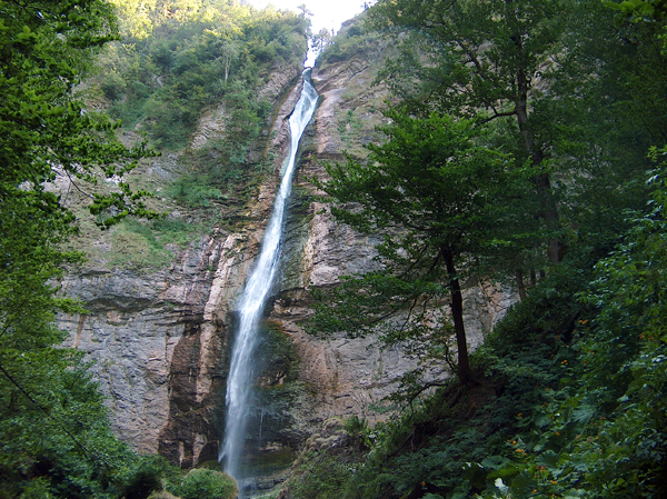 Primeval forest Perucica 3