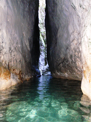 Canyon Nevidio 1