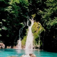 13988460762172_kanjon-tare1.jpg