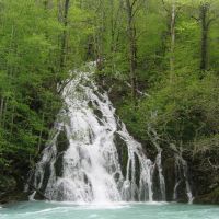 1398846125718_kanjon-tare4.jpg