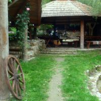 14063269006015_k31.jpg