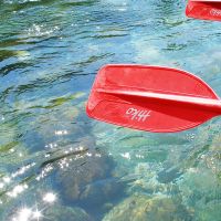 14273644941738_kanjon-tare-encijan-tara-rafting-4.jpg
