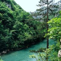 14273649409449_rafting_tarom-encijan15.jpg